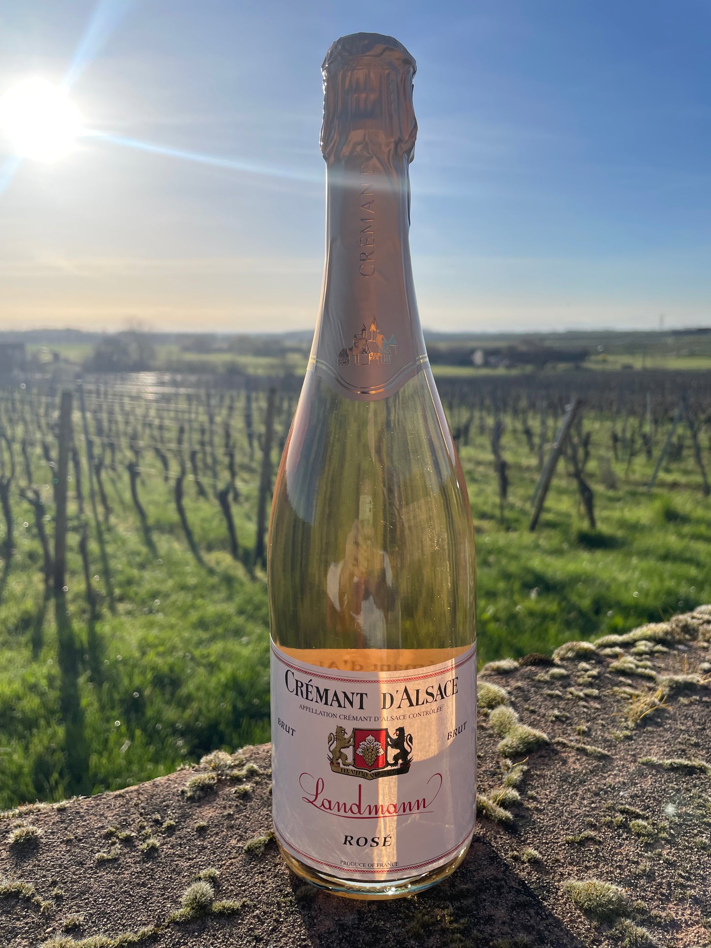 Crémant d'Alsace Brut - Rosé