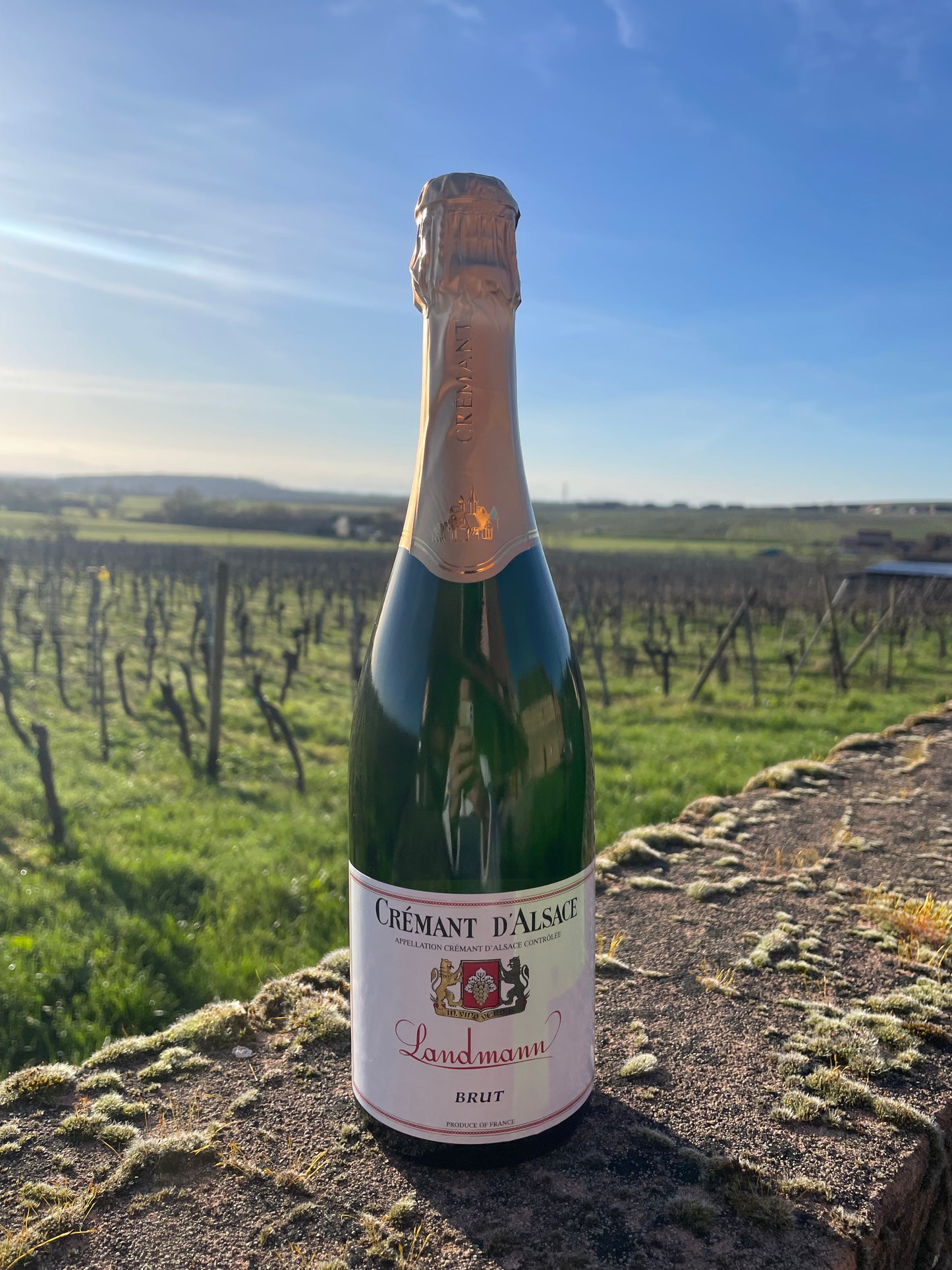 Crémant d'Alsace Brut
